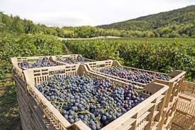casa indipendente in vendita a Sant'Ambrogio di Valpolicella