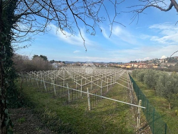 terreno agricolo in vendita a Sant'Ambrogio di Valpolicella in zona Domegliara