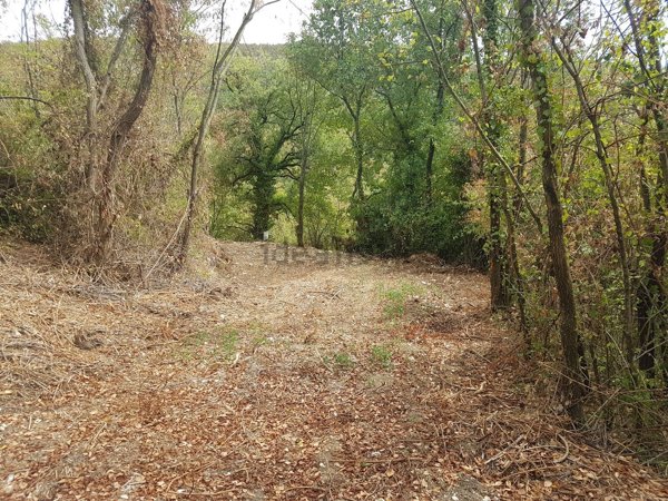 terreno agricolo in vendita a Sant'Ambrogio di Valpolicella in zona Monte