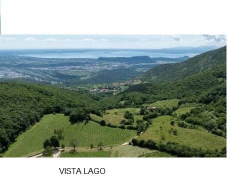 terreno in vendita a Sant'Ambrogio di Valpolicella in zona Monte