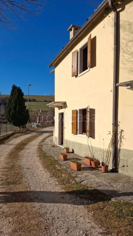 immagine annuncio 0 di 15