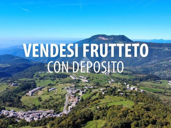 casa indipendente in vendita a Sant'Anna d'Alfaedo in zona Sant'Anna