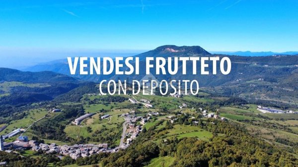 appartamento in vendita a Sant'Anna d'Alfaedo in zona Sant'Anna