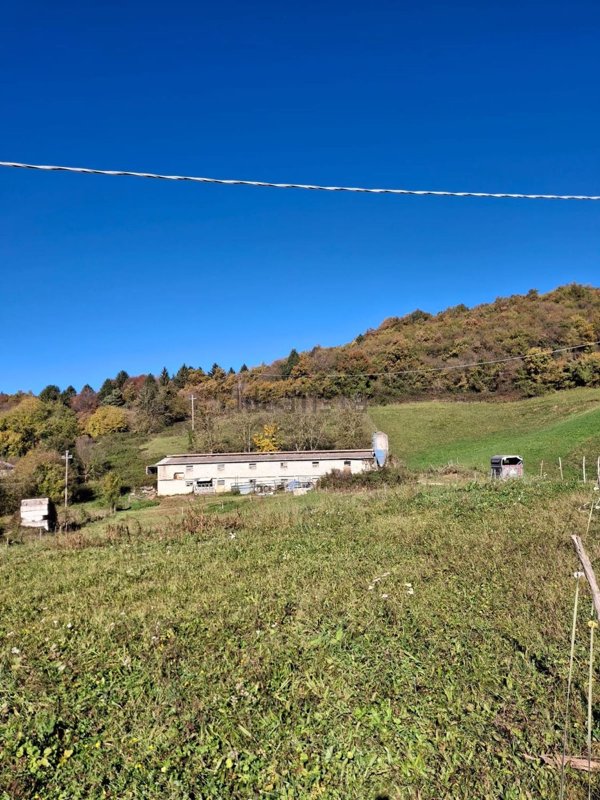 terreno agricolo in vendita a Sant'Anna d'Alfaedo in zona Fosse