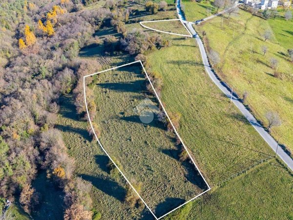 terreno agricolo in vendita a Sant'Anna d'Alfaedo
