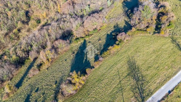 terreno agricolo in vendita a Sant'Anna d'Alfaedo