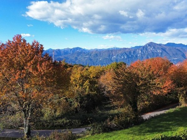 casa indipendente in vendita a San Zeno di Montagna