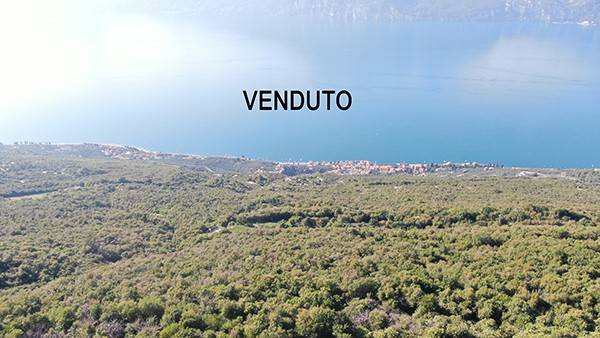 pentavano in vendita a San Zeno di Montagna