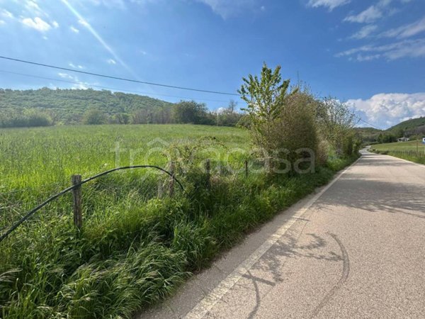 terreno agricolo in vendita a San Zeno di Montagna in zona Lumini