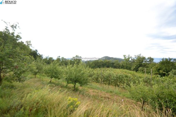 terreno agricolo in vendita a San Zeno di Montagna