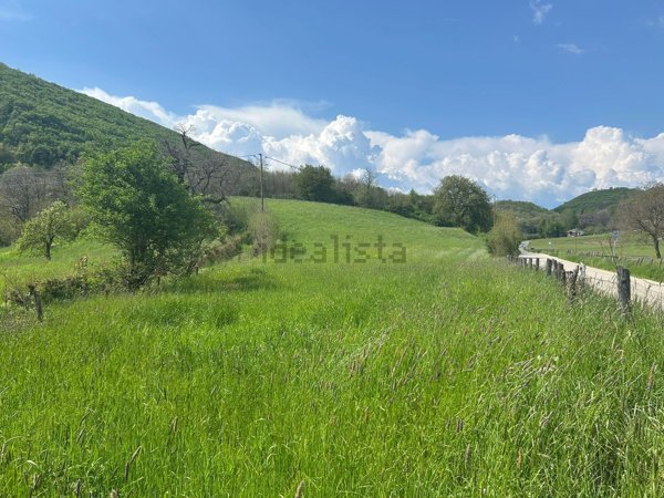 terreno agricolo in vendita a San Zeno di Montagna in zona Lumini