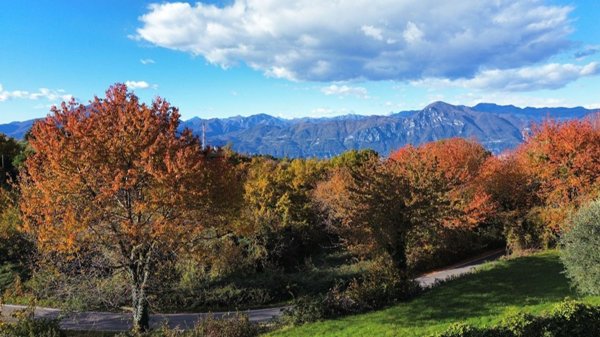 casa indipendente in vendita a San Zeno di Montagna