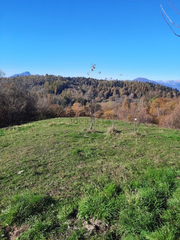 terreno agricolo in vendita a San Zeno di Montagna