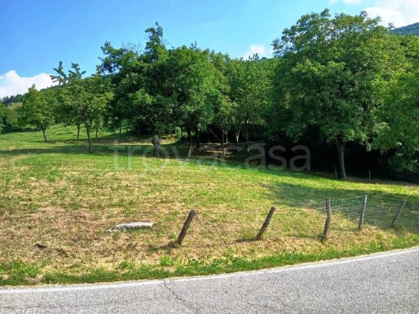 terreno agricolo in vendita a San Zeno di Montagna in zona Lumini