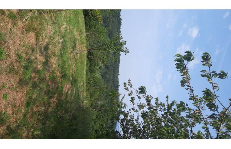 terreno agricolo in vendita a San Zeno di Montagna