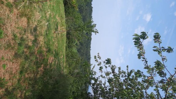 terreno agricolo in vendita a San Zeno di Montagna
