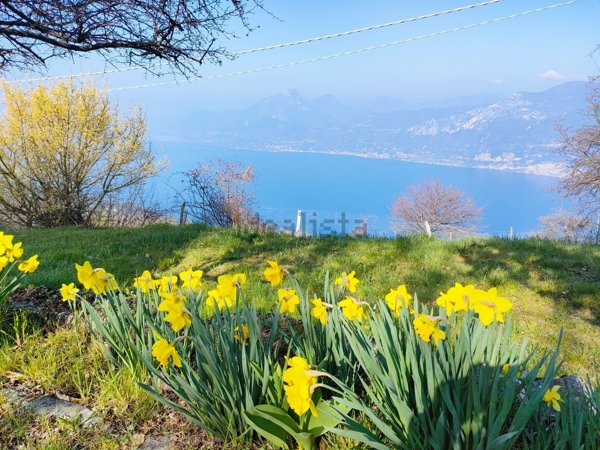 appartamento in vendita a San Zeno di Montagna