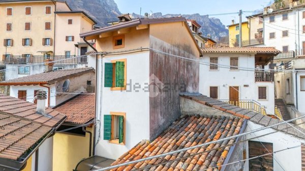 pentavano in vendita a Selva di Progno in zona Giazza