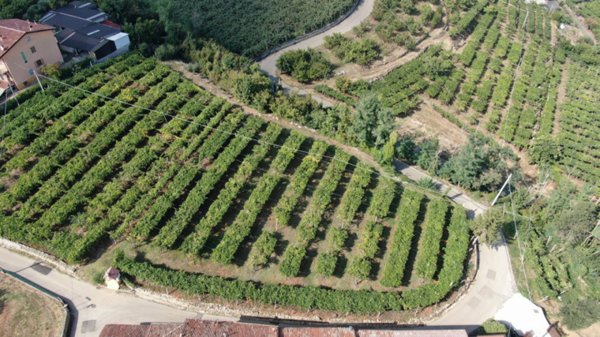 terreno agricolo in vendita a Soave in zona Castelcerino