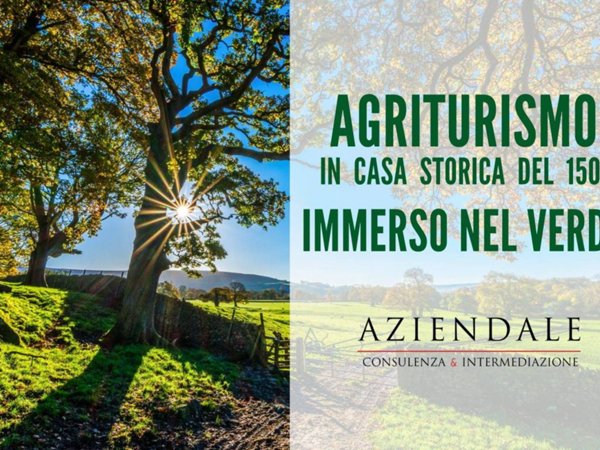 negozio in vendita a Soave