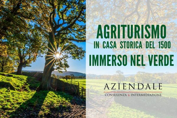 negozio in vendita a Soave