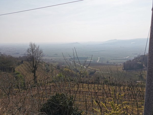 ufficio in vendita a Soave