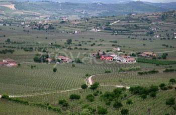 villa in vendita a Soave