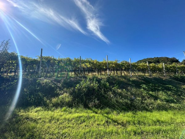 terreno in vendita a Soave in zona Fittà