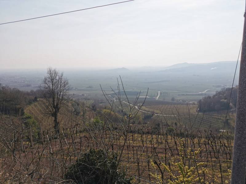 ufficio in vendita a Soave