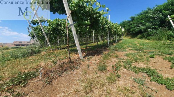 terreno edificabile in vendita a Soave in zona Castelcerino