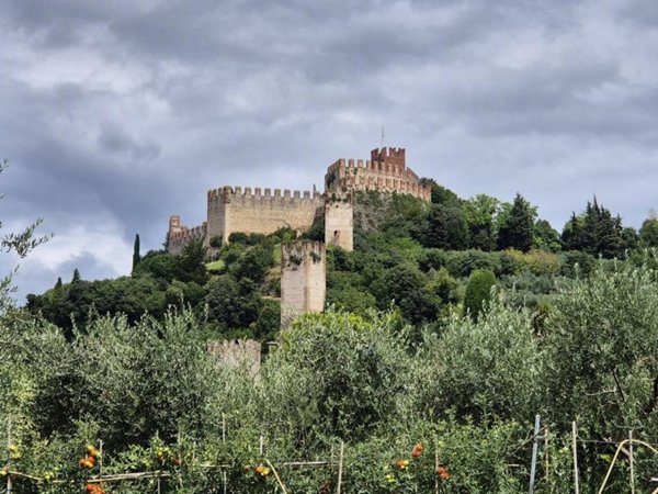 appartamento in vendita a Soave