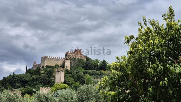 appartamento in vendita a Soave