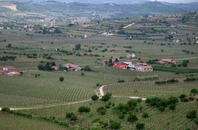 villa in vendita a Soave