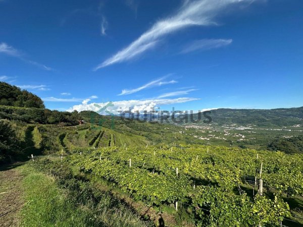 terreno agricolo in vendita a Soave