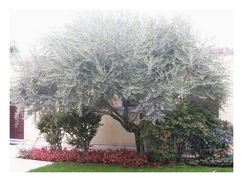 casa indipendente in vendita a Soave