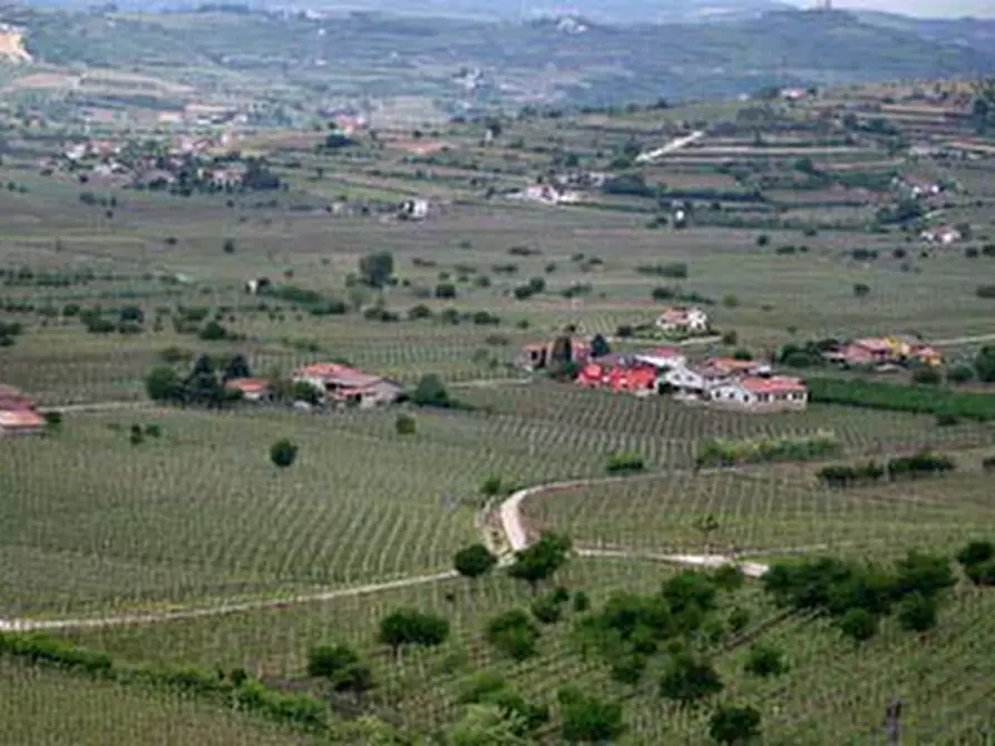 terreno agricolo in vendita a Soave in zona Castelletto