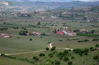 terreno in vendita a Soave in zona Castelletto