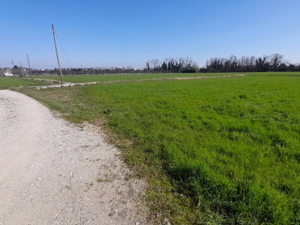 terreno agricolo in vendita a Sommacampagna