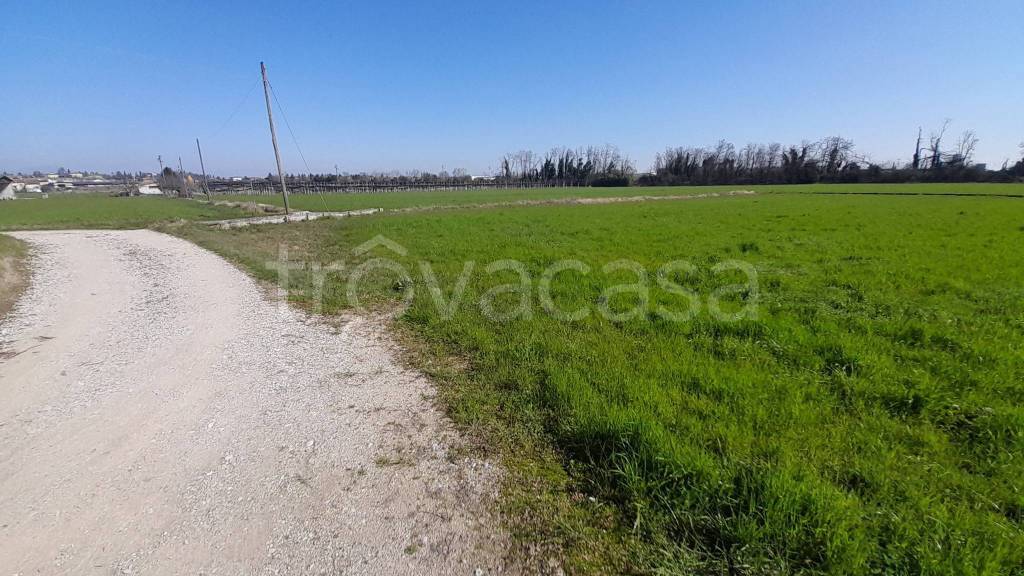 terreno agricolo in vendita a Sommacampagna in zona Custoza