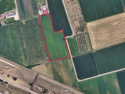 terreno agricolo in vendita a Sommacampagna