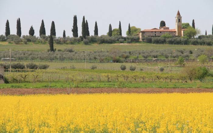 terreno agricolo in vendita a Sommacampagna in zona Caselle