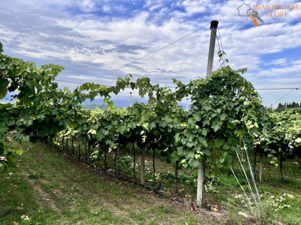 terreno agricolo in vendita a Sommacampagna