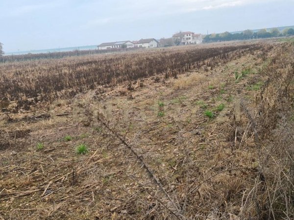 terreno agricolo in vendita a Sommacampagna in zona Caselle