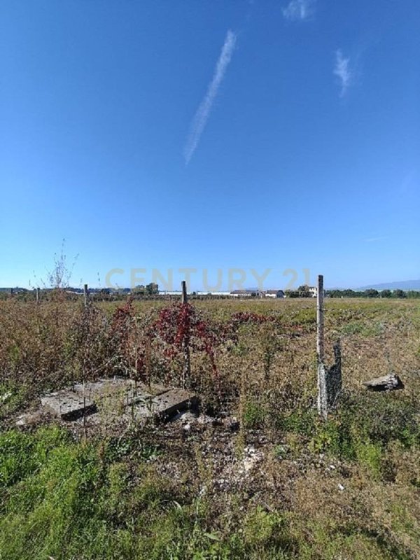 terreno agricolo in vendita a Sommacampagna in zona Caselle