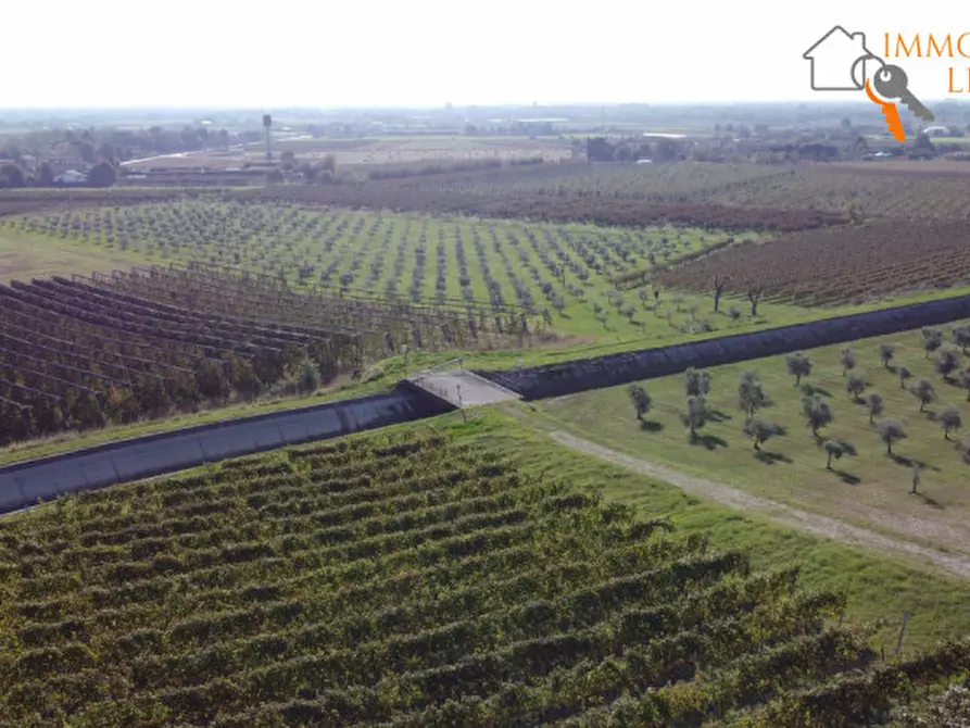 casa indipendente in vendita a Sommacampagna in zona Custoza