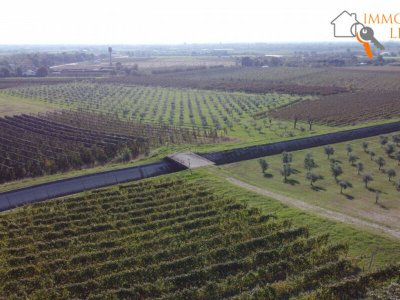 terreno agricolo in vendita a Sommacampagna