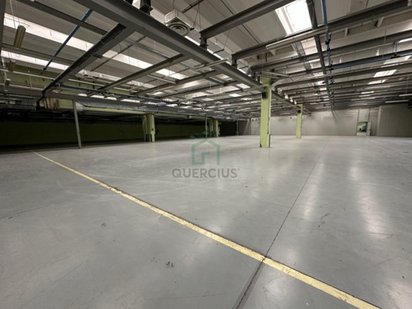 terreno edificabile in vendita a Sommacampagna in zona Caselle