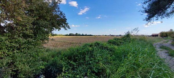 appartamento in vendita a Sommacampagna