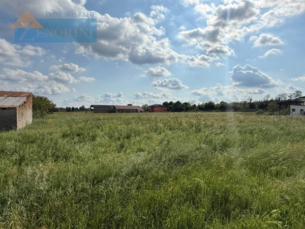 terreno agricolo in vendita a Sommacampagna