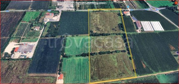 terreno agricolo in vendita a Sommacampagna